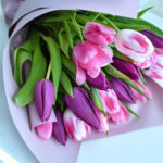 tulips-4927689_640